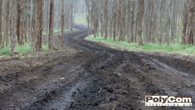 PolyCom treated forest road